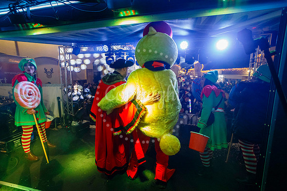 Diss Christmas Lights Switch on