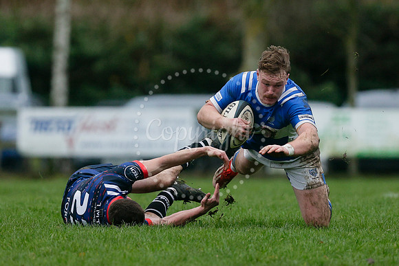 Rugby - Diss v Thurston