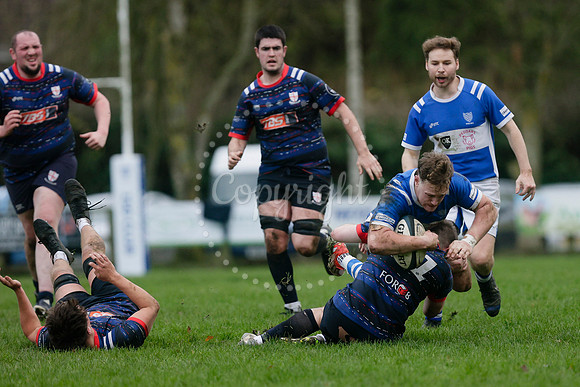 Rugby - Diss v Thurston