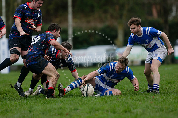 Rugby - Diss v Thurston
