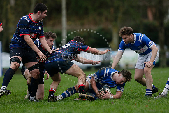 Rugby - Diss v Thurston