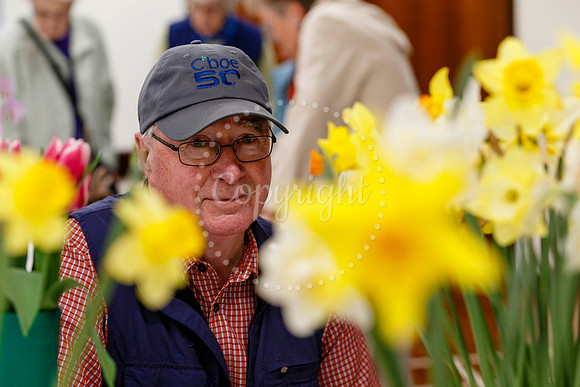 Diss and District Horticultural Society Spring Flower Show