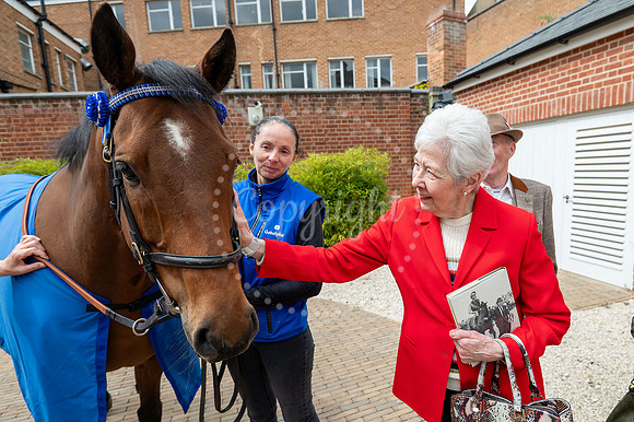 NJ Newmarket National Horseracing Museum, Godolphin therapy hors