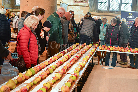 Bramley Apple Festival