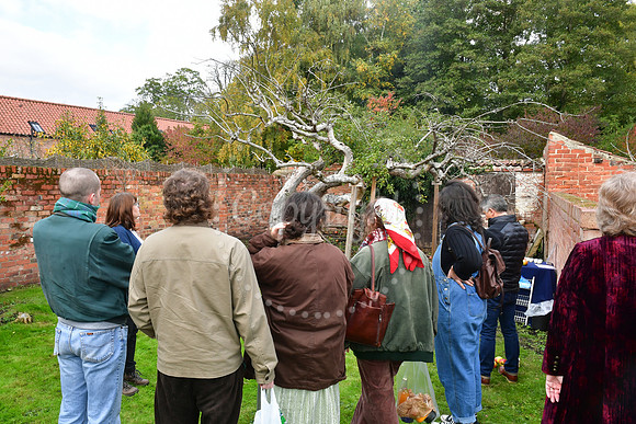 Bramley Apple Festival
