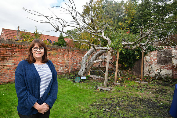 Bramley Apple Festival