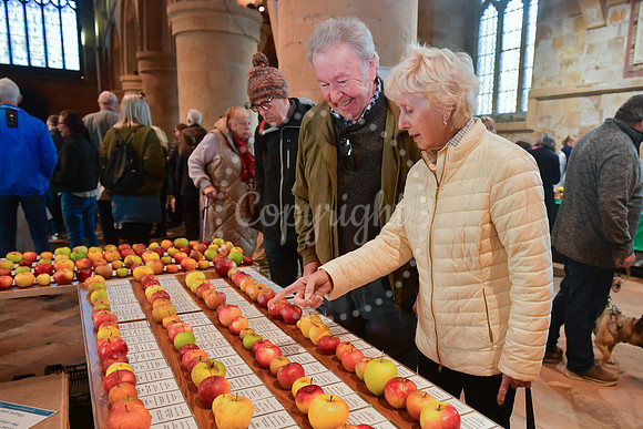 Bramley Apple Festival