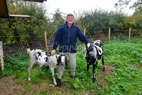 Walkabout Goats