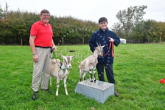Walkabout Goats