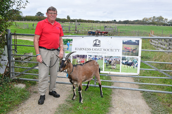 Walkabout Goats
