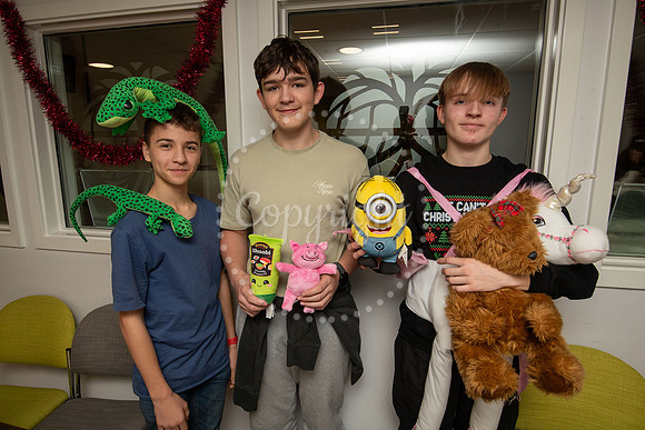 NJ Bottisham Village CollegeAnnual festive Christmas fairPictu