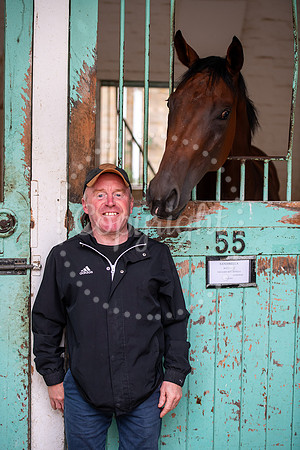 NewmarketNewmarket Stables open day and events on The Severals.