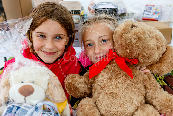 Long Stratton Summer Event held at the Manor Fields