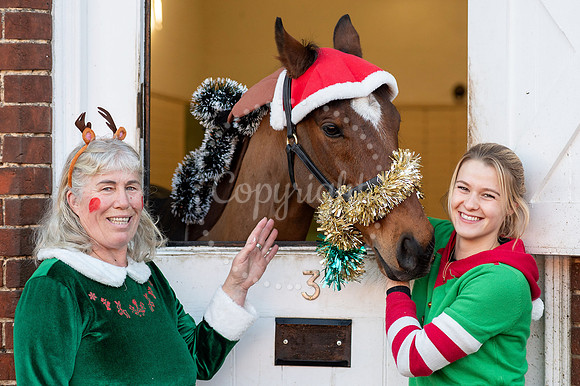 NJ  National Horseracing Museum, NewmarketChristmas at the muse