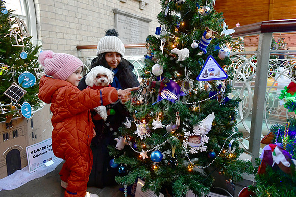 Christmas Tree Festival in Newark Buttermarket