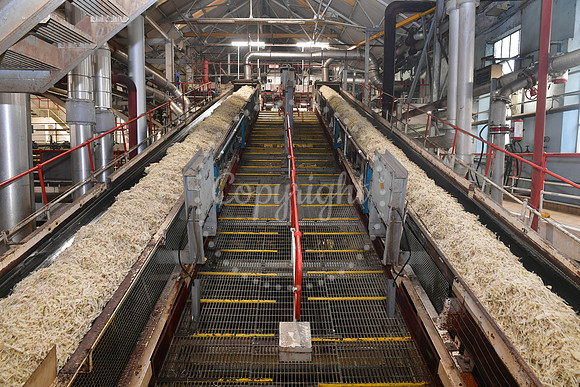 Sugar Factory Tour