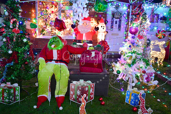 Christmas Lights Display