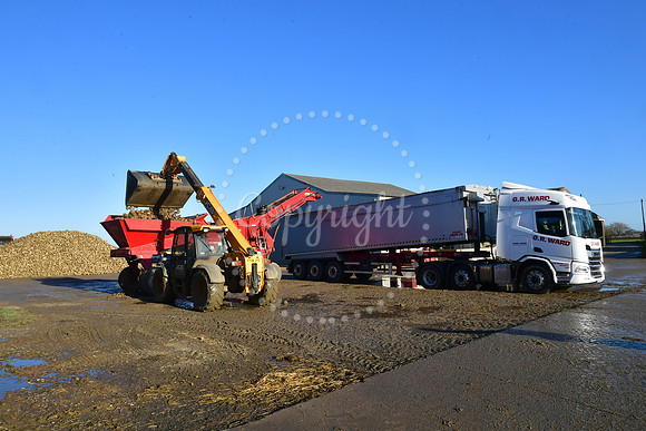 Sugar beet farmers, Willow Tree Farm