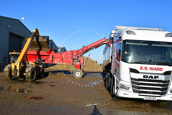 Sugar beet farmers, Willow Tree Farm