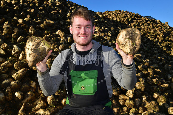 Sugar beet farmers, Willow Tree Farm