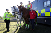 Horse Safety Campaign Dead Slow
