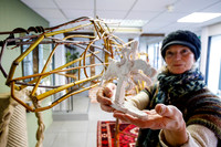 Pop-up art exhibition brings colour to an empty shop unit in Dis