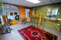 Pop-up art exhibition brings colour to an empty shop unit in Dis
