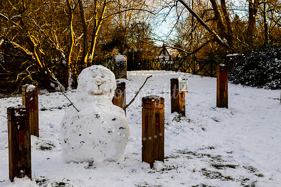 Snowfall in the Norfolk/Suffolk border village of Homersfield