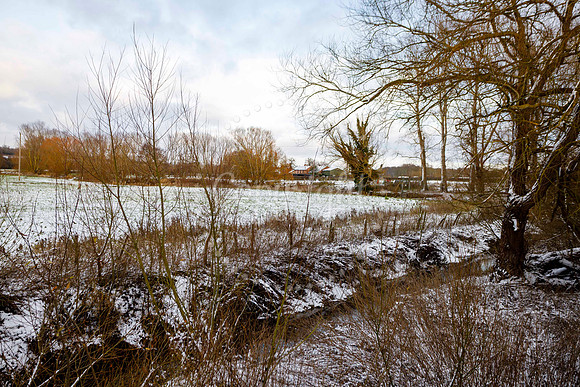 Snowfall in the Norfolk/Suffolk border village of Homersfield