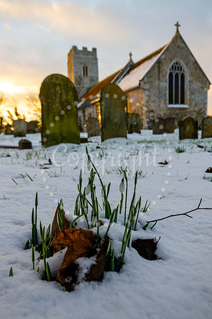 Snowfall in the Norfolk/Suffolk border village of Homersfield