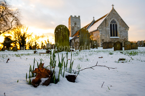 Snowfall in the Norfolk/Suffolk border village of Homersfield