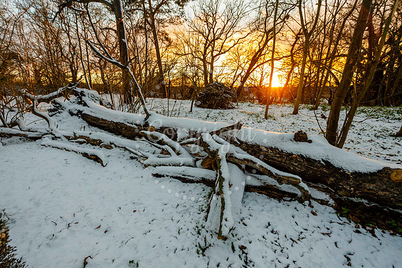 Snowfall in the Norfolk/Suffolk border village of Homersfield