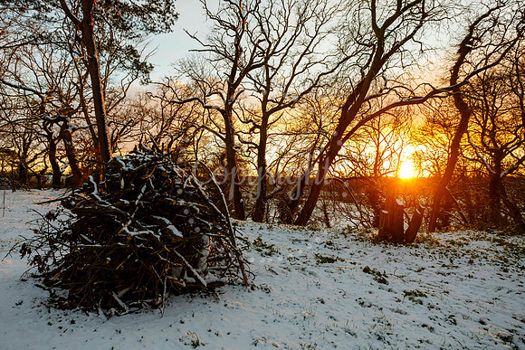 Snowfall in the Norfolk/Suffolk border village of Homersfield