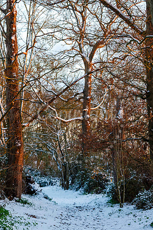 Snowfall in the Norfolk/Suffolk border village of Homersfield