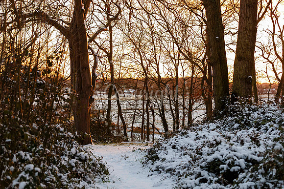 Snowfall in the Norfolk/Suffolk border village of Homersfield
