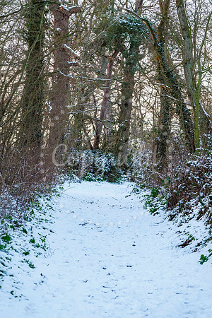 Snowfall in the Norfolk/Suffolk border village of Homersfield