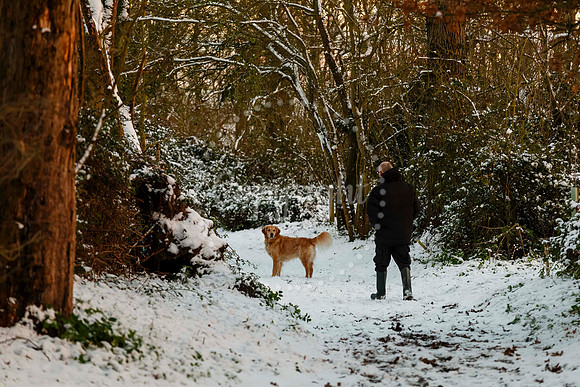 Snowfall in the Norfolk/Suffolk border village of Homersfield