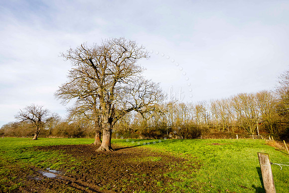 Jubilee Country Park