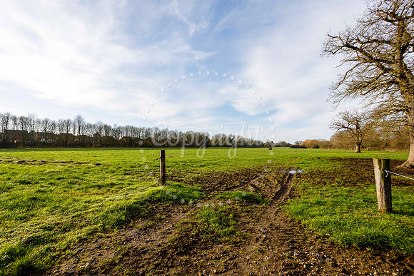 Jubilee Country Park