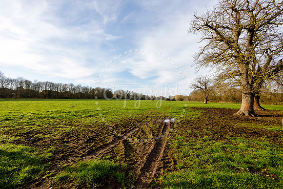 Jubilee Country Park