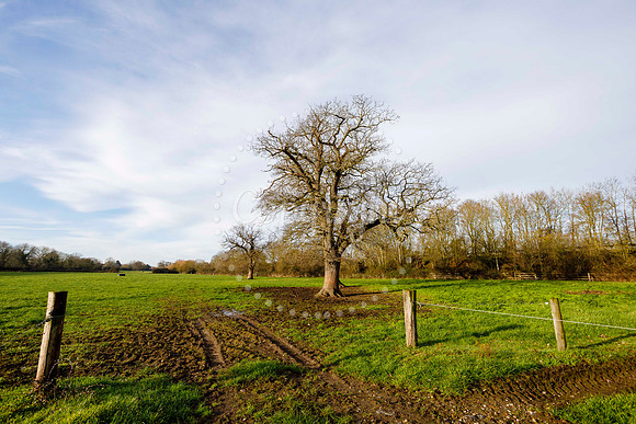 Jubilee Country Park