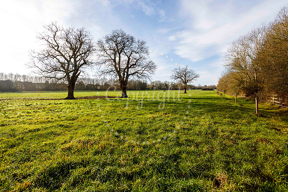 Jubilee Country Park