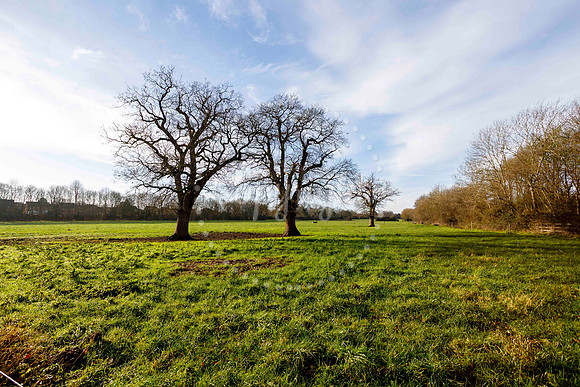 Jubilee Country Park