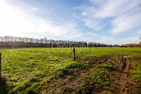 Jubilee Country Park