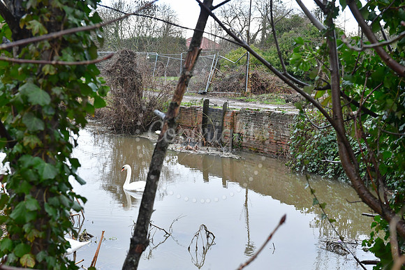 Parnham's Island, Millgate, Newark