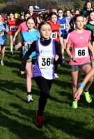 SP SCHOOLCROSS26 170126 SH