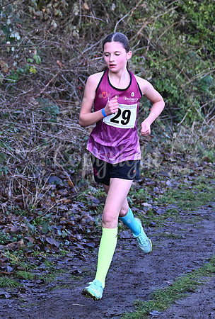 SP SCHOOLCROSS26 170126 SH