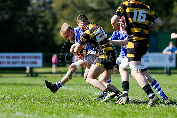 Rugby action from Diss vs Ely