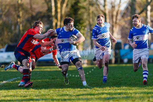 Diss RFC v Wisbech RFC