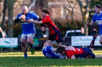 Diss RFC v Wisbech RFC